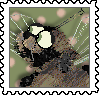 stamp 166